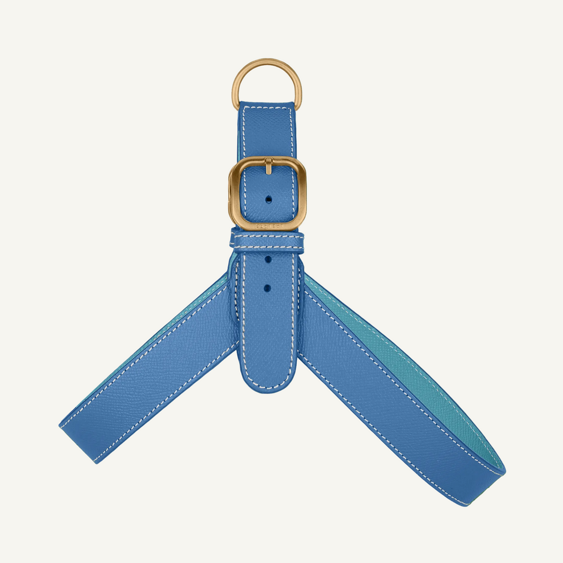 Blue Leather Harness