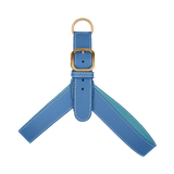 Blue Leather Harness