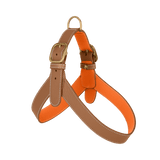 Camel Leather Harness