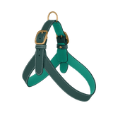 Green Leather Harness