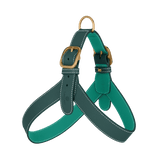 Green Leather Harness