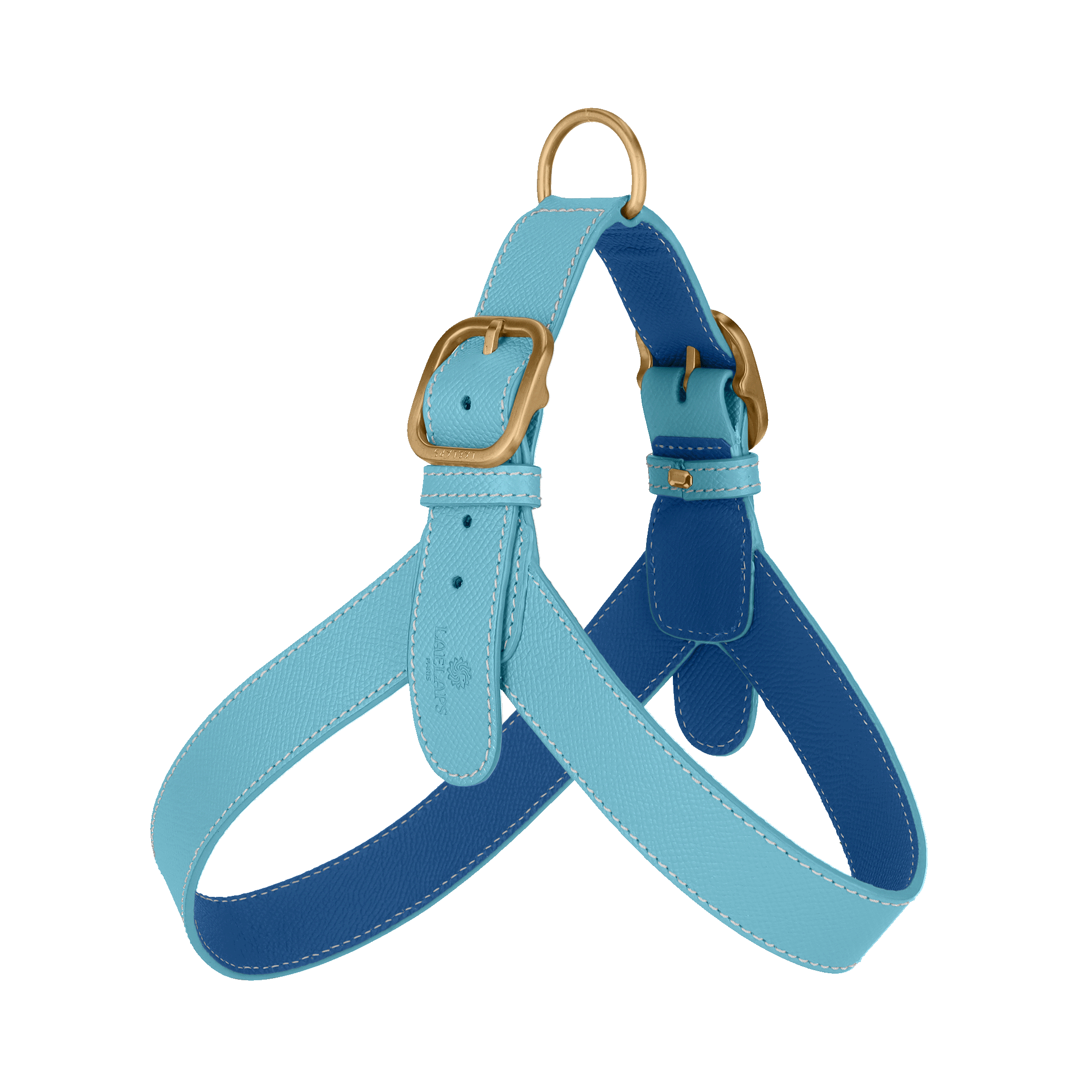 Light Blue Leather Harness