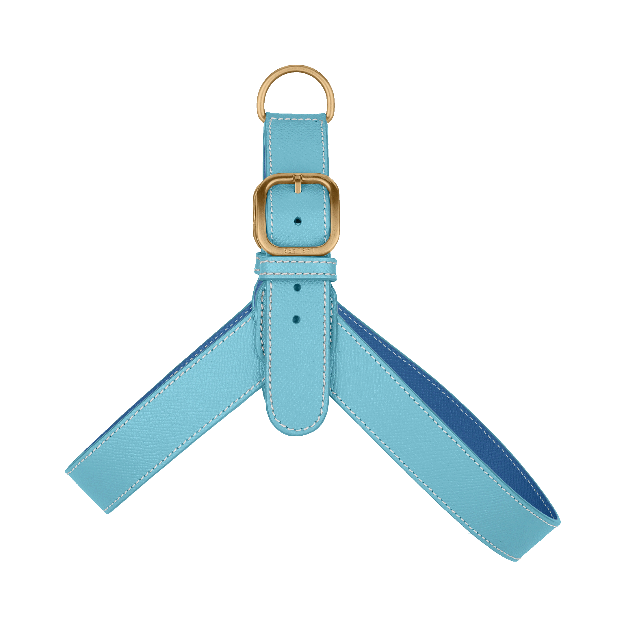 Light Blue Leather Harness