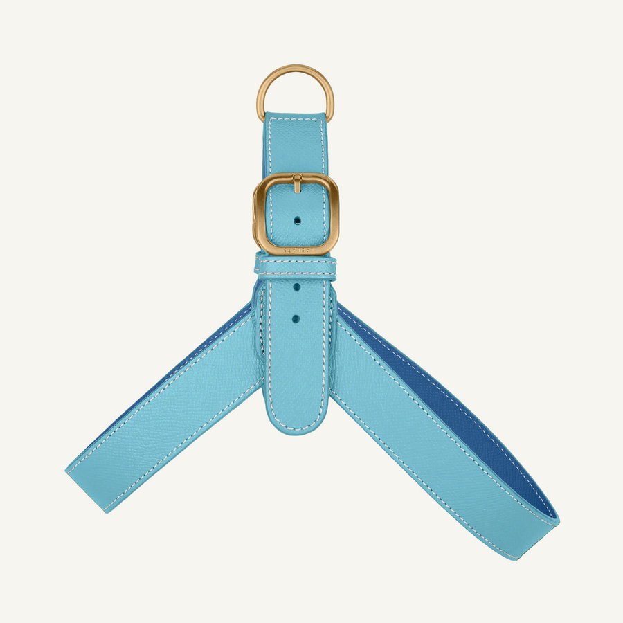 Light Blue Leather Harness