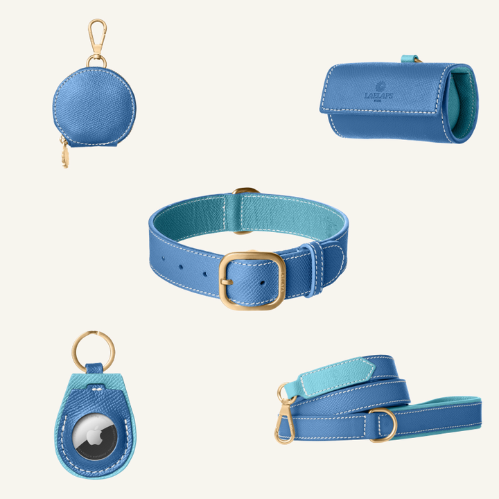 The perfect blue set for your furry friend