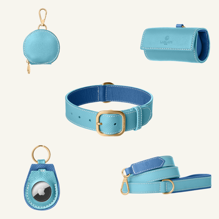 The perfect light blue set for your furry friend