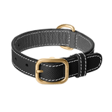 Black leather dog collar with gold hardware by Laelaps Paris