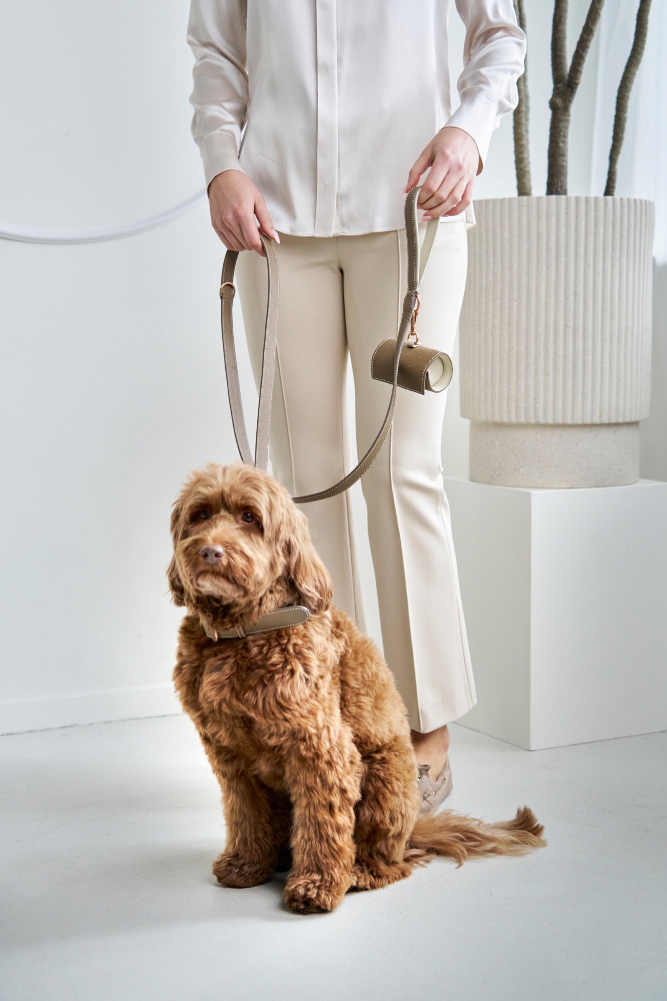 Taupe leather dog collar with off-white accent and rose gold hardware, Laelaps Paris