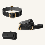 Zwarte leren set met halsband, riem en zakjeshouder, grijze voering, wit stiksel en goudkleurige hardware van Laelaps Paris