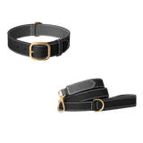 Black grained leather dog collar and matching leash with grey lining, white contrast stitching and brushed gold buckle by Laelaps Paris