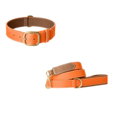 Orange  leather dog collar and matching leash with camel lining, white stitching and brushed gold buckle by Laelaps Paris