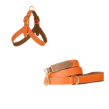 Poppy orange embossed calf leather dog harness and matching leash with camel lining, white stitching and matte gold buckles by Laelaps Paris