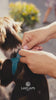 Blue Leather Harness